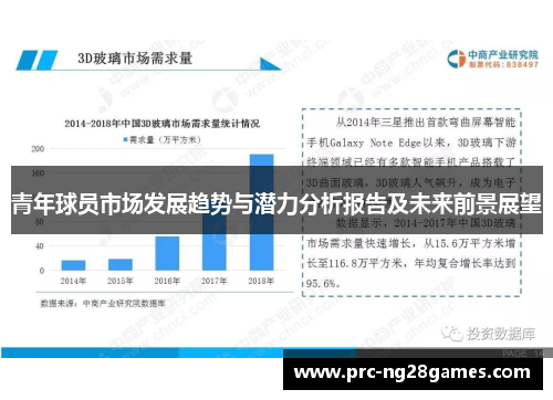 青年球员市场发展趋势与潜力分析报告及未来前景展望