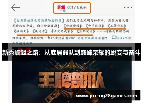 新秀崛起之路：从底层弱队到巅峰荣耀的蜕变与奋斗