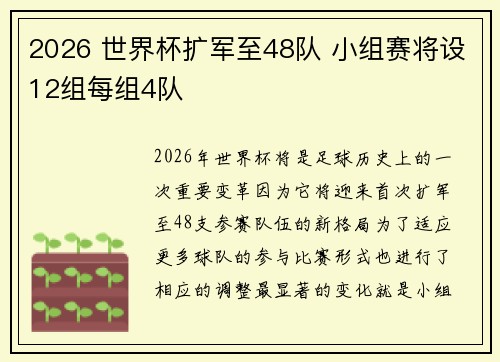 2026 世界杯扩军至48队 小组赛将设12组每组4队 2026 世界杯扩军至48队 小组赛将设12组每组4队
